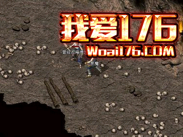1.76ҴʬɱһЩɷ