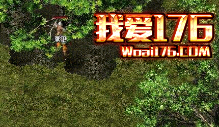 ʦķŷʦҪǿ