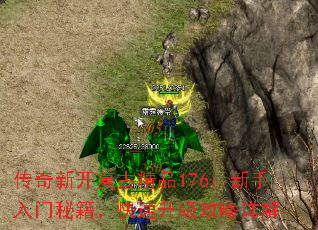 ¿žƷ176ؼ