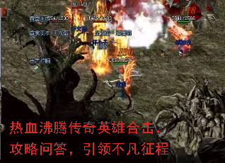 ѪڴӢۺϻʴ첻