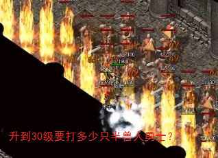 30Ҫֻʿ