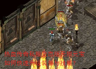 Ѫ˽̬Ԫοװ뼼ܣ