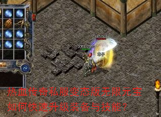 Ѫ˽̬Ԫοװ뼼ܣ