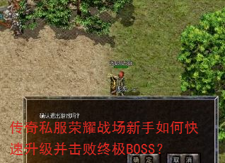 ˽ҫսοռBOSS