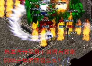 Ѫ˽θЧˢBOSS䶥װ