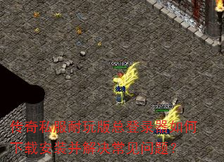 ˽ܵ¼ذװ⣿