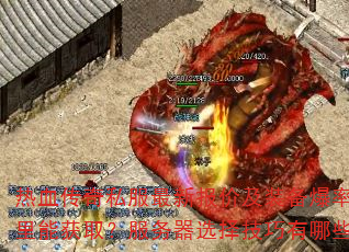 Ѫ˽±ۼװͼܻȡѡЩ