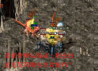 ´˽սʿְҵܴЩЧɣ