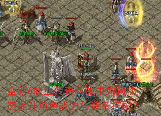 ȫ6ְҵ˽οɫսװ䣿