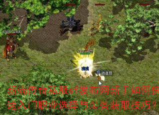 ¶˴˽sfοְҵѡװȡɣ