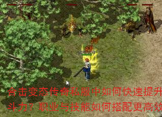 ϻ̬˽οսְҵ뼼δЧ