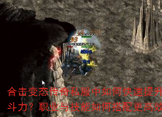 ϻ̬˽οսְҵ뼼δЧ