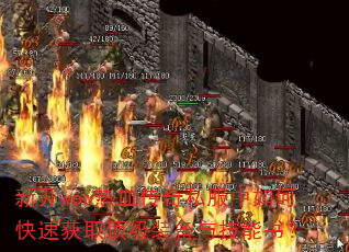 ¿wowѪ˽οٻȡװ뼼飿