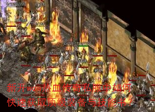 ¿wowѪ˽οٻȡװ뼼飿