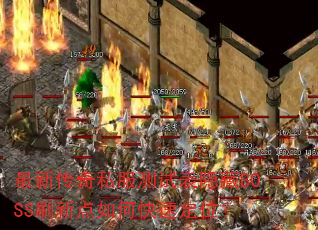 ´˽ԱBOSSˢµοٶλ