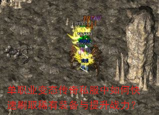 ְҵ̬˽οˢȡϡװս