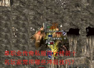 ְҵ˽аǰʮҳЩ弶ɣ