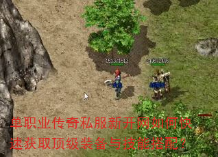 ְҵ˽¿οٻȡװ뼼ܴ䣿