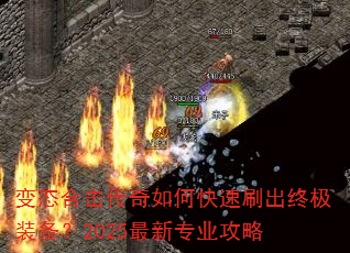 ̬ϻοˢռװ2025רҵ