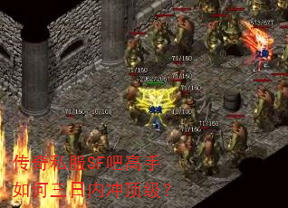 传奇私服SF吧高手如何三日内冲顶级? 传奇私服SF吧高手如何三日内冲顶级?