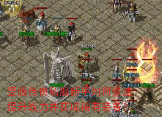 竖版传奇私服新手如何快速提升战力并获取稀有装备? 竖版传奇私服新手如何快速提升战力并获取稀有装备?