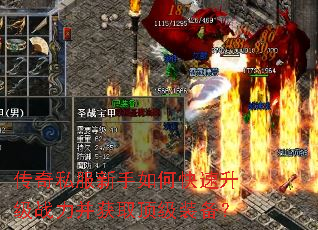 ����˽��������ο�������ս������ȡ����װ����