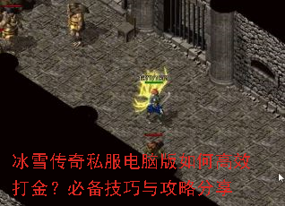 ��ѩ����˽�����԰���θ�Ч��𣿱ر������빥�Է���