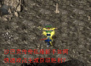 ɳ�Ϳ˴���˽��������ο��ٹ�ռ���ǻ�ȡʤ����