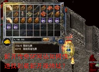 �¿�����SF��վ��ο����ҵ����¿�����ַ��