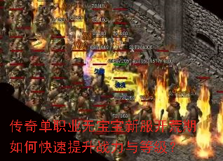 ���浥ְҵ�ޱ����·���������ο�������ս����ȼ���