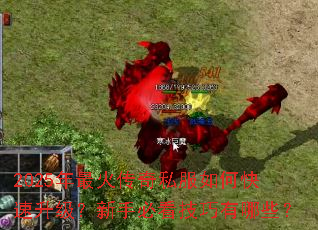 2025�������˽����ο������������ֱؿ���������Щ��