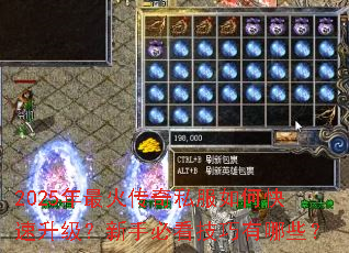 2025�������˽����ο������������ֱؿ���������Щ��