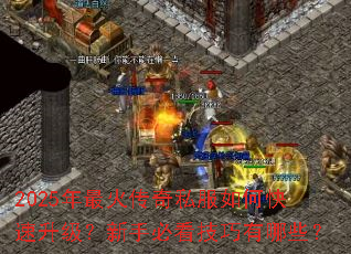 2025�������˽����ο������������ֱؿ���������Щ��