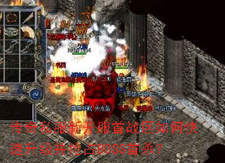 ����˽���¿�����ս����ο�����������ռBOSS��ɱ��