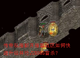 ����˽���¿�����ս����ο�����������ռBOSS��ɱ��