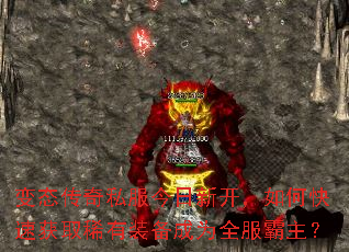 ��̬����˽�������¿�����ο��ٻ�ȡϡ��װ����Ϊȫ��������