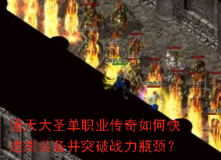 ͨ���ʥ��ְҵ������ο���ˢװ����ͻ��ս��ƿ����