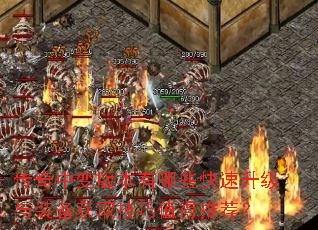 �����б�汾����Щ����������װ����ȡ����ֵ���Ƽ���