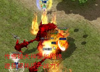 ��������������ο��ٻ�ȡ������ս����