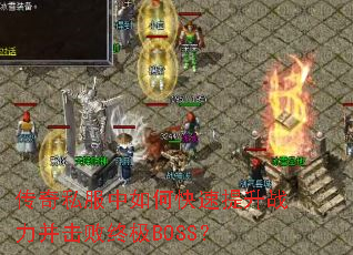 ����˽������ο�������ս���������ռ�BOSS��