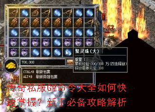 ����˽��GM�����ȫ��ο������գ����ֱر����Խ���