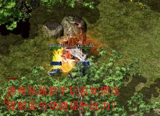 ����˽������������ѡ��ְҵ���������ս����