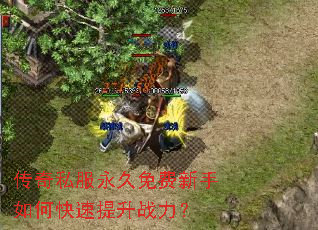 ����˽���������������ο�������ս����