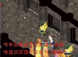 ����˽���¿���̬������ο��ٻ�ȡ����װ���뼼�ܣ�