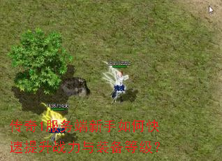 ����1�����������ο�������ս����װ���ȼ���