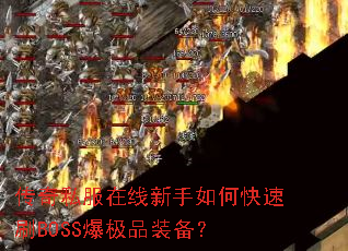 ����˽������������ο���ˢBOSS����Ʒװ����