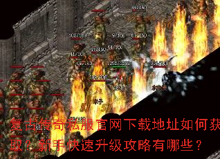 ���Ŵ���˽���������ص�ַ��λ�ȡ�����ֿ���������������Щ��