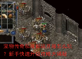 宠物传奇私服新站开服怎么玩?新手快速升级攻略大揭秘 宠物传奇私服新站开服怎么玩?新手快速升级攻略大揭秘
