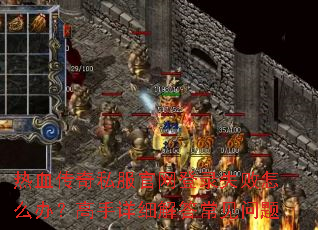 ��Ѫ����˽��������¼ʧ����ô�죿������ϸ��𳣼�����