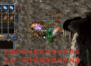 ��Ѫ����˽��������¼ʧ����ô�죿������ϸ��𳣼�����